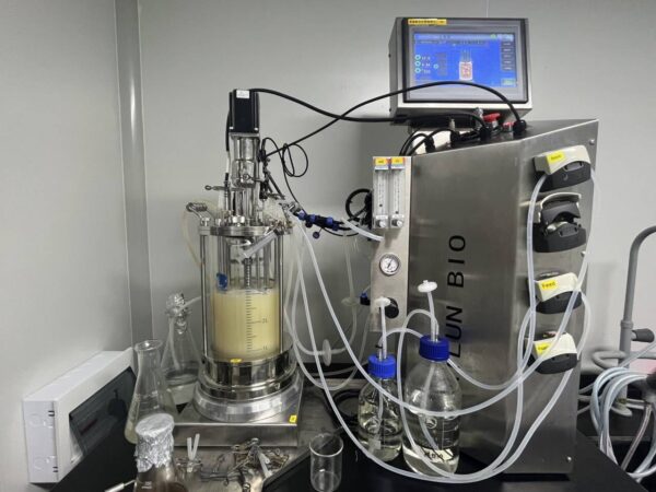 Mechanical Stirring Glass Fermenter BLBIO-GJ - Imagen 4