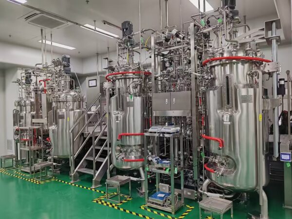 Mechanical Stirring Stainless Steel Fermenter BLBIO-SJA - Imagen 3