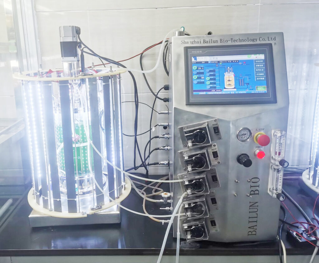 glass photo bioreactor with light