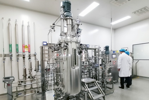 A preliminary understanding of plasmids3