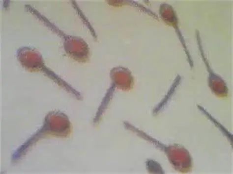 Bailun biological fermentation tank helps vaccine production process