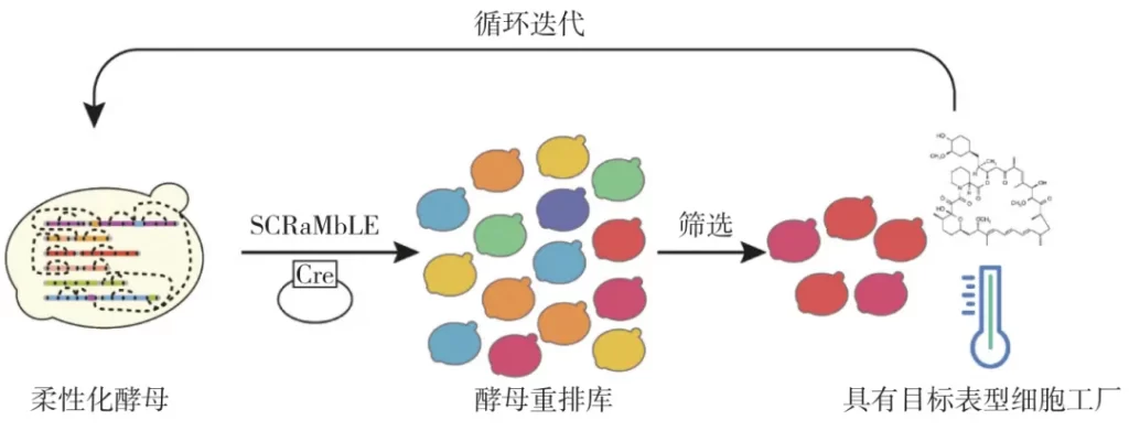 Flexible, intelligent and automated cell factory-2