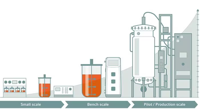 Bioreactor Scale Up Process