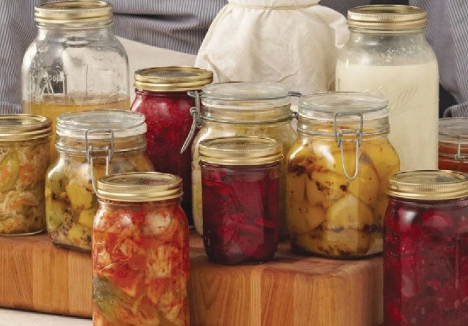fermenter food