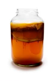 fermentation food