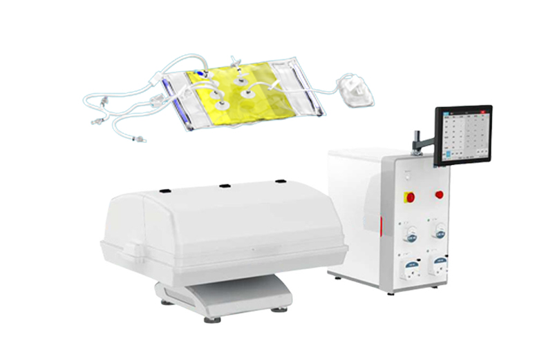 bioreactor scale up