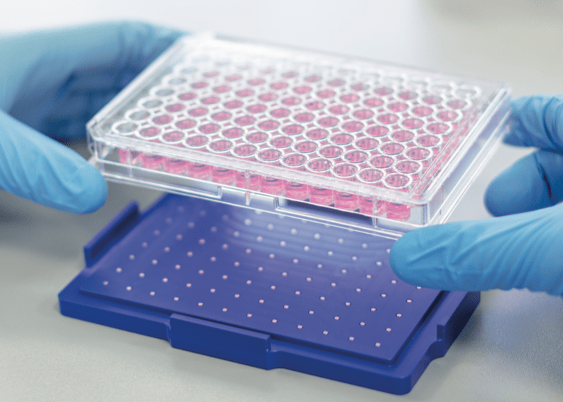 Expression and function of human lysozyme-1