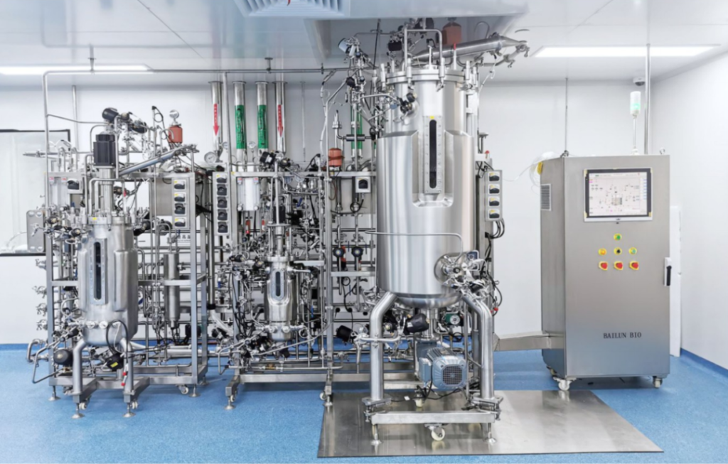 A preliminary understanding of plasmids