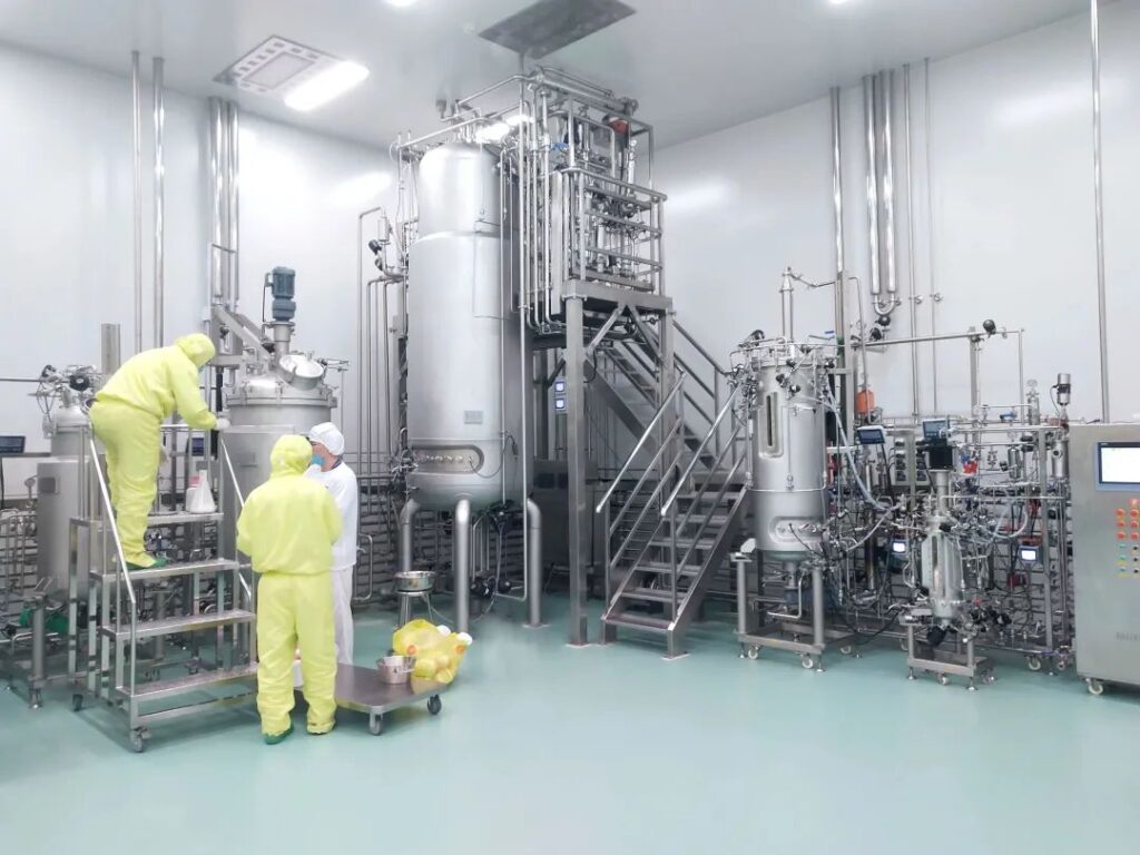 How to use the Bailun fermentation process in the field of auxin